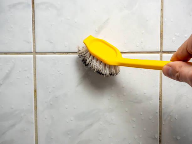 Professional Mold Removal in Newark, NY