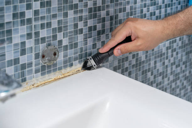 Best Mold Testing  in Newark, NY